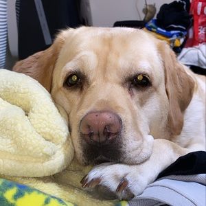 Meet your Posher, Gabrielle